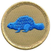 beaver.jpg