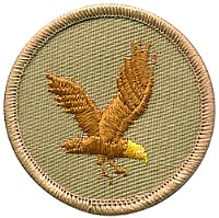 flyeagle.jpg