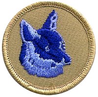 fox.jpg