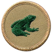 frog.jpg