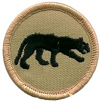 panther.jpg